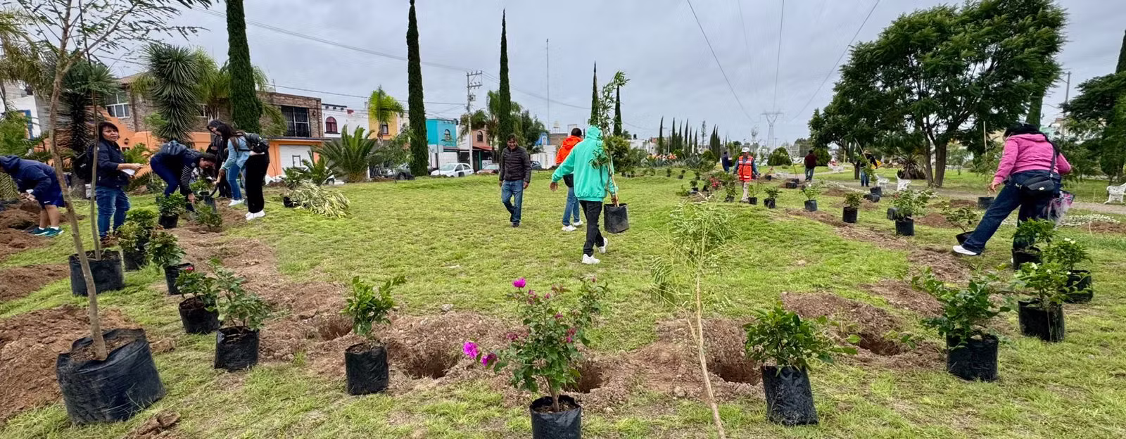 CON ÉXITO CONCLUYE LA CAMPAÑA DE REFORESTACIÓN “ÁRBOLES FUERTES, HUELLAS GIGANTES 2025”; MÁS DE 125 MIL ÁRBOLES SE PLANTARON EN AGUASCALIENTES ESTE AÑO