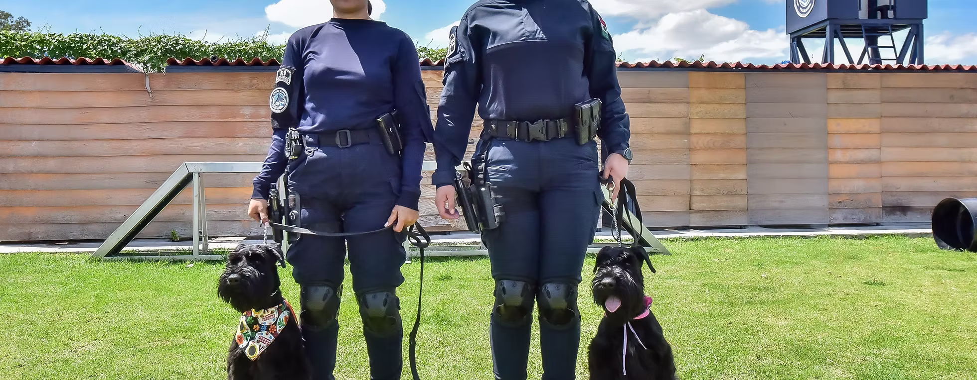 POLICÍA ESTATAL PRESENTA A SUS NUEVOS ELEMENTOS: LOS CACHORROS DELTA Y RANGER SE PREPARAN PARA SER K9 POLICÍA ESTATAL PRESENTA A SUS NUEVOS ELEMENTOS: LOS CACHORROS DELTA Y RANGER SE PREPARAN PARA SER K9