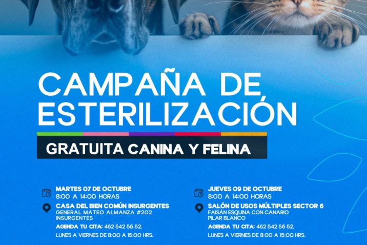 LLEVARÁN NUEVA CAMPAÑA DE ESTERILIZACIÓN CANINA Y FELINA GRATUITA AL SUR DE LA CIUDAD LLEVARÁN NUEVA CAMPAÑA DE ESTERILIZACIÓN CANINA Y FELINA GRATUITA AL SUR DE LA CIUDAD