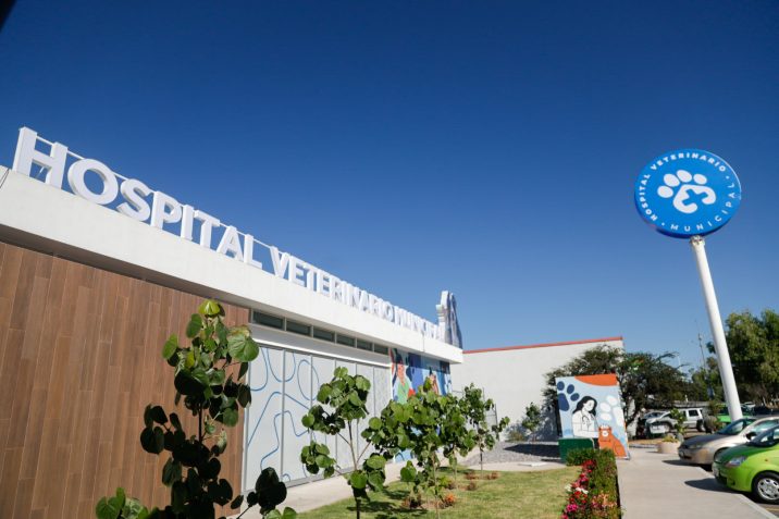 HOSPITAL VETERINARIO MUNICIPAL YA TIENE PAGINA DE INTERNET 