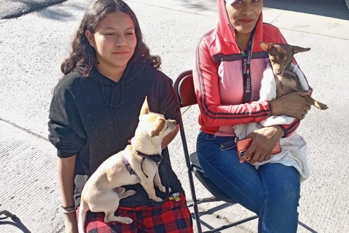 MUNICIPIO DE AGUASCALIENTES E ISSEA INVITAN A JORNADA DE ESTERILIZACIÓN PARA PERROS Y GATOS EN LA COLONIA INSURGENTES