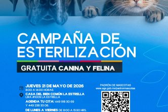 MUNICIPIO DE AGUASCALIENTES E ISSEA REALIZARÁN NUEVA JORNADA DE ESTERILIZACIÓN CANINA Y FELINA