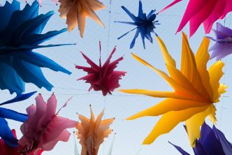 MILLONES DE PERSONAS ADMIRARÁN UN COLORIDO JARDÍN BOTÁNICO EN EL CORREDOR CULTURAL CARRANZA 2026