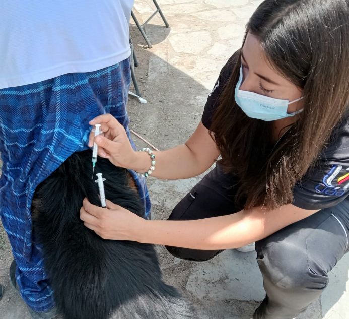 Más de 186 servicios veterinarios gratuitos fueron acercados durante la Caravana de Salud Canina y Felina en Ciénega Grande, Asientos.