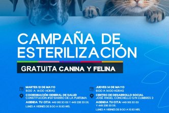 REALIZARÁN JORNADA DE ESTERILIZACIÓN CANINA Y FELINA EN EL BARRIO DE LA PURÍSIMA Y EN CUMBRES 3