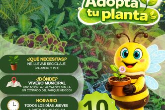CONTINÚAN LOS JUEVES DE DONACIÓN DE PLANTAS Y ÁRBOLES EN EL VIVERO MUNICIPAL