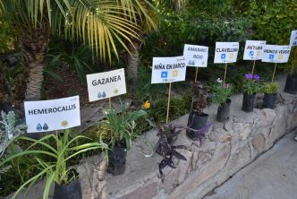 MUNICIPIO DE AGUASCALIENTES LANZA CAMPAÑA DE DONACIÓN DE PLANTAS