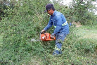 PARTICIPA MUNICIPIO DE AGUASCALIENTES EN MEGA OPERATIVO DE LIMPIEZA Y REHABILITACIÓN EN EL RÍO SAN PEDRO