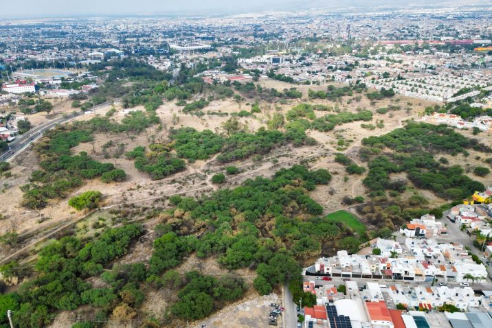 TODAS LAS VOCES Y ESFUERZOS SON IMPORTANTES EN EL RESCATE Y CONSERVACIÓN DE LA PONA: LEO MONTAÑEZ TODAS LAS VOCES Y ESFUERZOS SON IMPORTANTES EN EL RESCATE Y CONSERVACIÓN DE LA PONA: LEO MONTAÑEZ