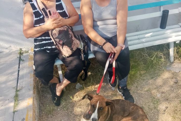 ANUNCIAN MUNICIPIO E ISSEA NUEVA CAMPAÑA DE ESTERILIZACIÓN CANINA Y FELINA EN VNSA ANUNCIAN MUNICIPIO E ISSEA NUEVA CAMPAÑA DE ESTERILIZACIÓN CANINA Y FELINA EN VNSA