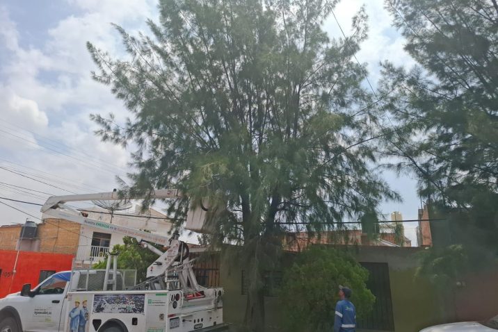 MUNICIPIO LLEVÓ A CABO OPERATIVO INTEGRAL DE SERVICIOS Y MEJORA DE IMAGEN URBANA EN CAÑADA HONDA