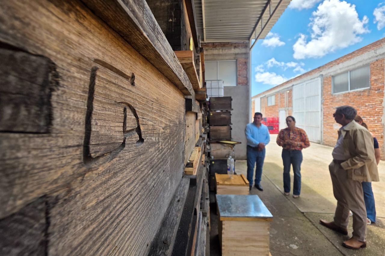 CON TRABAJO, PERSEVERANCIA Y AMOR POR EL CAMPO, MIEL ÁVILA CONQUISTA MERCADOS INTERNACIONALES